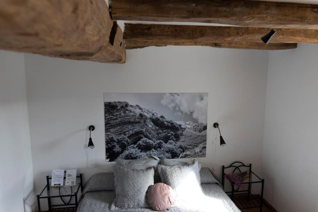 Casa Rural Enekoizar Abaurrea Alta エクステリア 写真