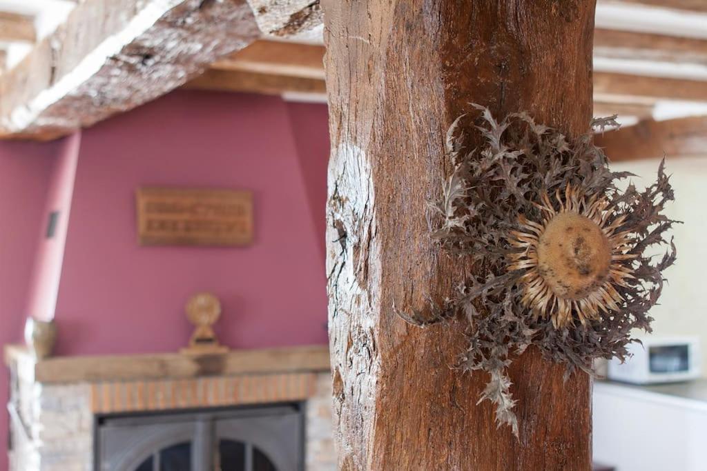Casa Rural Enekoizar Abaurrea Alta エクステリア 写真