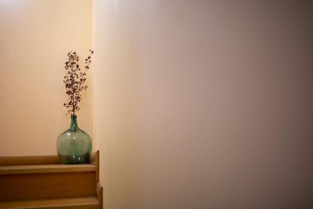 Casa Rural Enekoizar Abaurrea Alta エクステリア 写真
